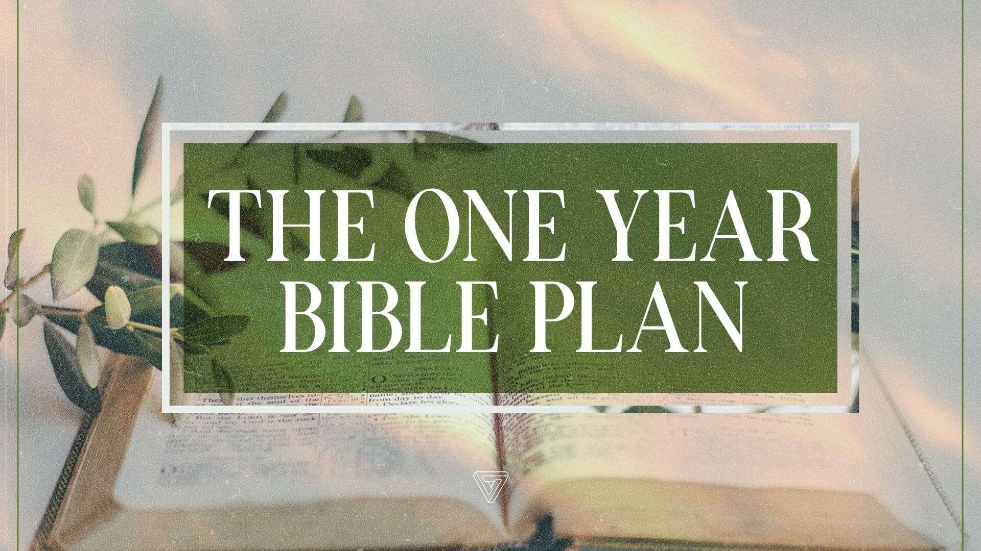 The One Year Bible Plan