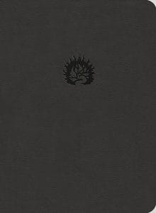 book - Reformation ESV Bible